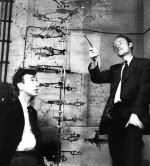 Watson & Crick